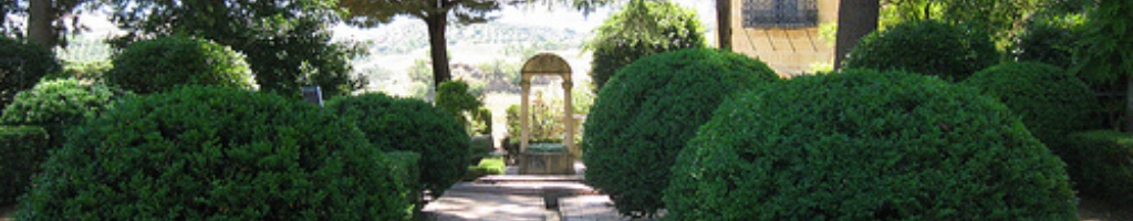 Castilleja de Guzman