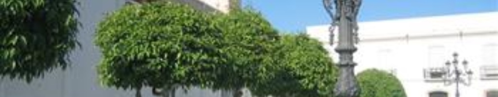 Olivares